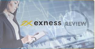 Understanding the Exness MT4 Server An Essential Guide